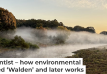 Henry David Thoreau investigated the Sudbury River as America’s first river scientist. Robert M. Thorson
